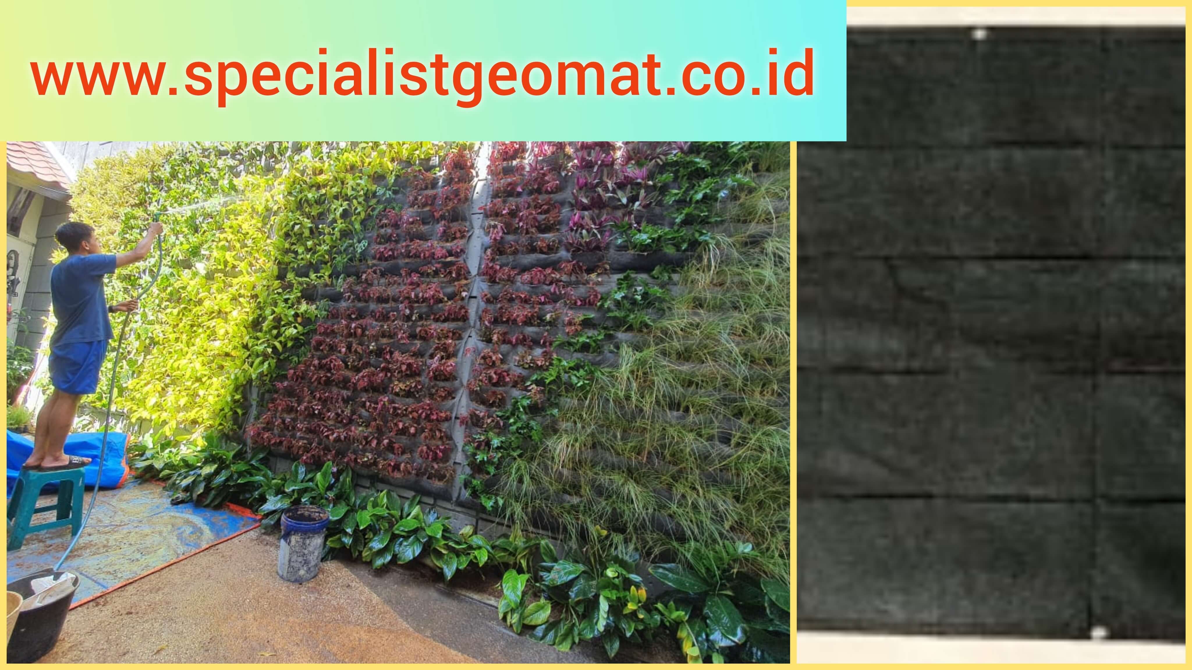 Distributor Jual vertical garden